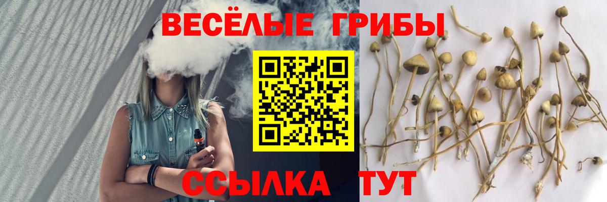 Ачинск  Галлюциногенные грибы Magic Shrooms  Вход с VPN 